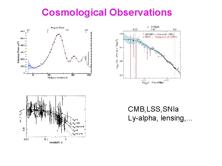 Cosmological Observations CMB, LSS, SNIa Ly-alpha, lensing, … 