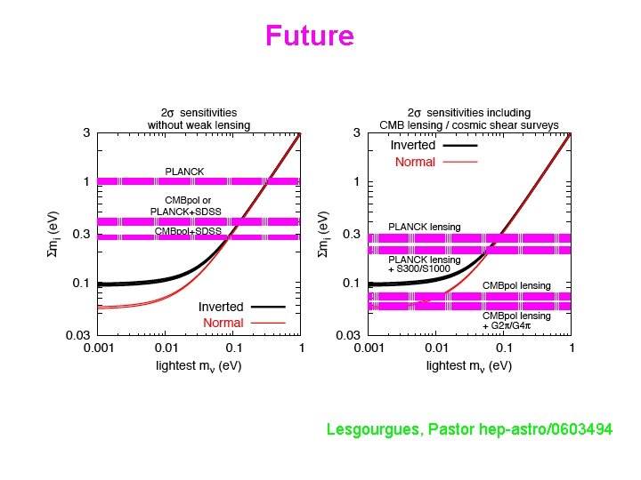 Future Lesgourgues, Pastor hep-astro/0603494 