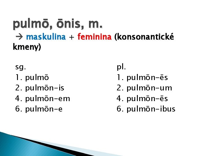 pulmō, ōnis, m. maskulina + feminina (konsonantické kmeny) sg. 1. pulmō 2. pulmōn-is 4.
