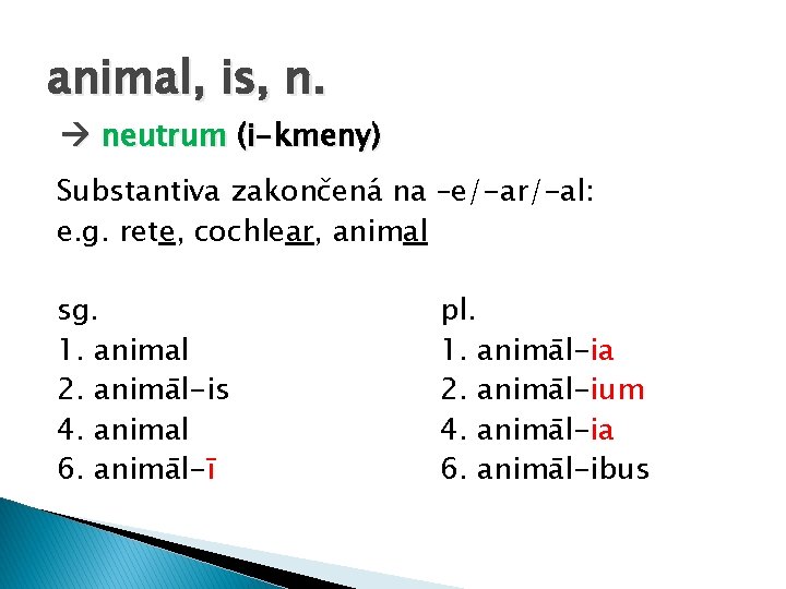animal, is, n. neutrum (i-kmeny) Substantiva zakončená na –e/-ar/-al: e. g. rete, cochlear, animal