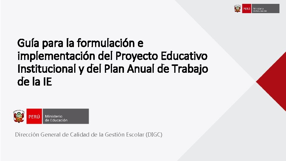 Gua para la formulacin e implementacin del Proyecto
