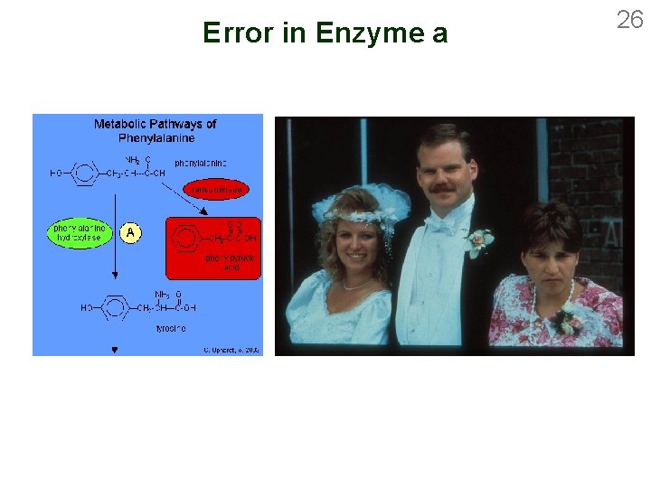 Error in Enzyme a 26 