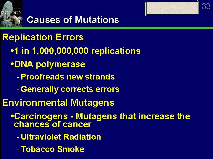 33 Causes of Mutations Replication Errors 1 in 1, 000, 000 replications DNA polymerase