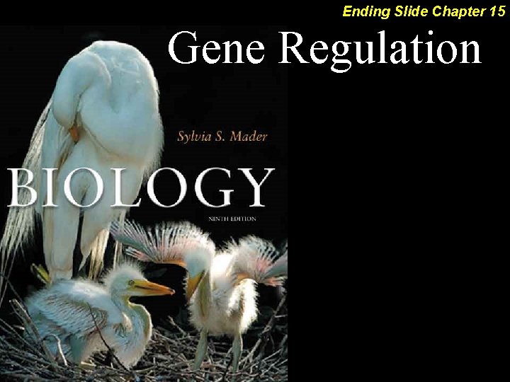 Ending Slide Chapter 15 Gene Regulation 