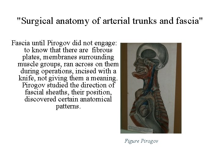 "Surgical anatomy of arterial trunks and fascia" Fascia until Pirogov did not engage: to "Surgical anatomy of arterial trunks and fascia" Fascia until Pirogov did not engage: to