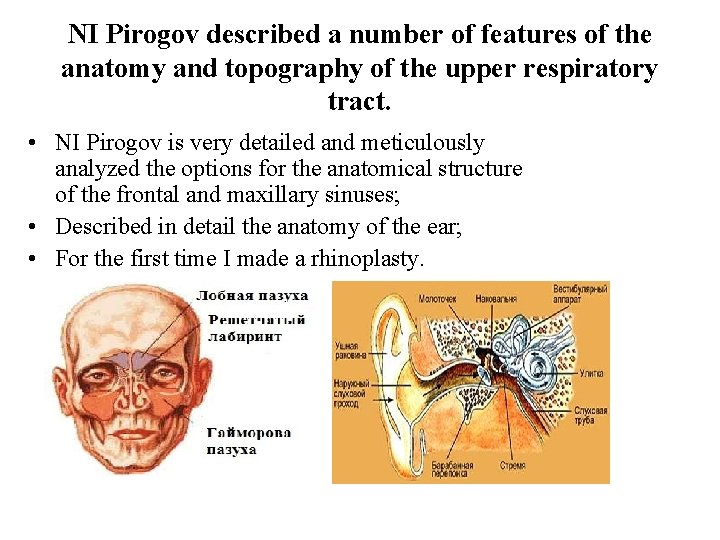 NI Pirogov described a number of features of the anatomy and topography of the NI Pirogov described a number of features of the anatomy and topography of the