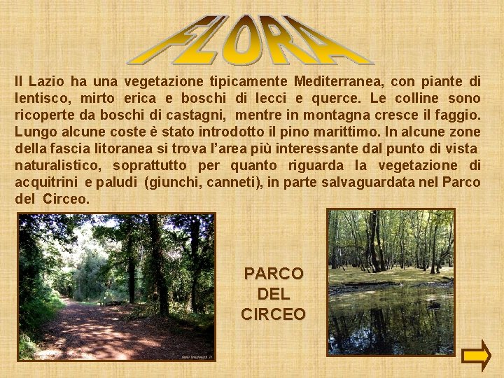 Il Lazio ha una vegetazione tipicamente Mediterranea, con piante di lentisco, mirto erica e