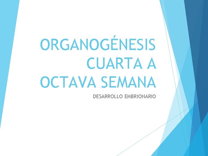 ORGANOGÉNESIS CUARTA A OCTAVA SEMANA DESARROLLO EMBRIONARIO 