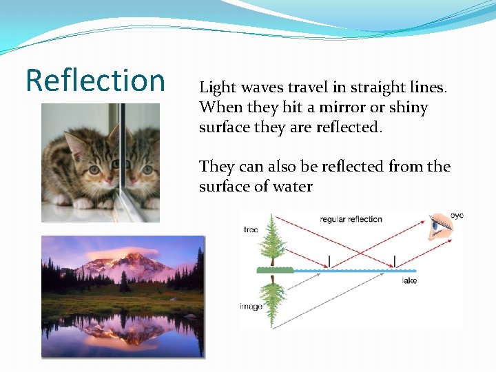 Reflection Light waves travel in straight lines. When they hit a mirror or shiny