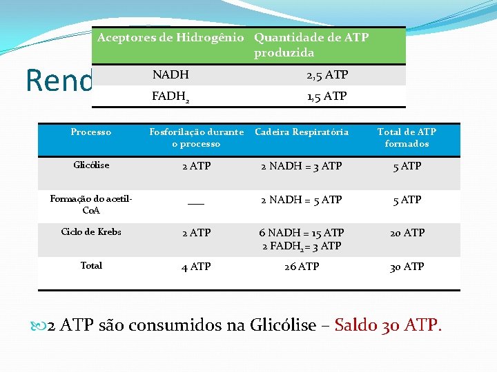 Aceptores de Hidrogênio Quantidade de ATP produzida Rendimento Energético NADH 2, 5 ATP FADH