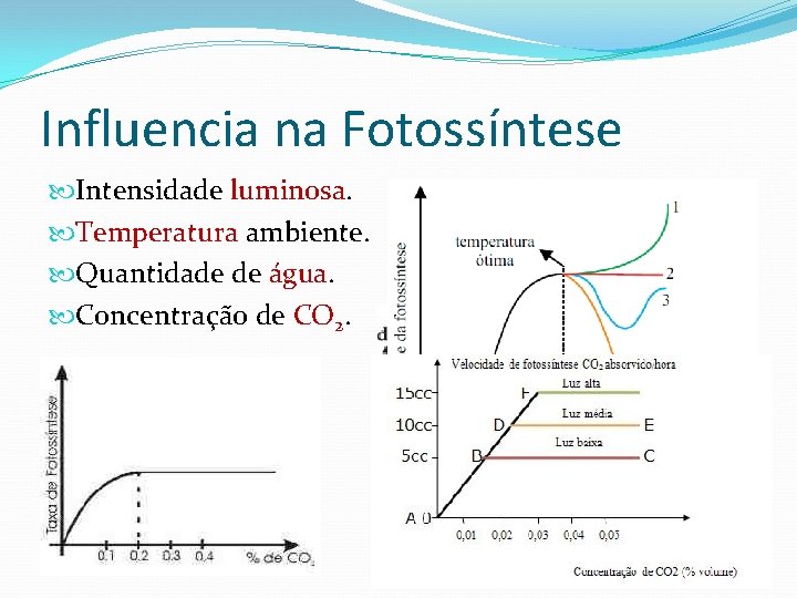 Influencia na Fotossíntese Intensidade luminosa. Temperatura ambiente. Quantidade de água. Concentração de CO 2.