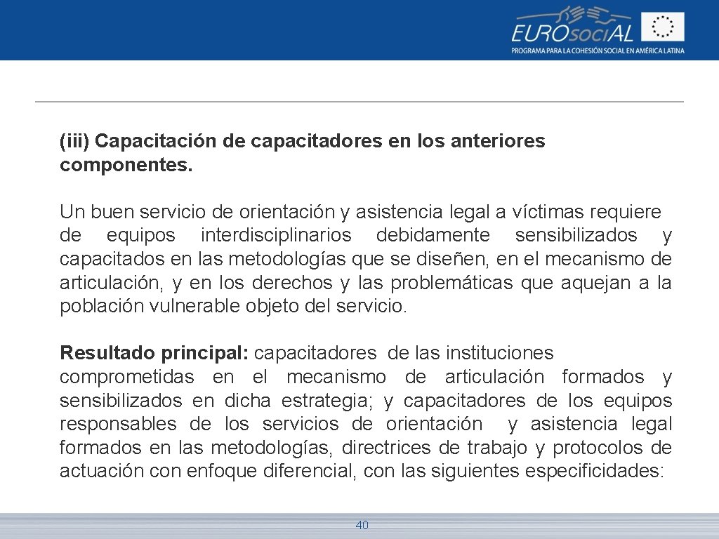 (iii) Capacitación de capacitadores en los anteriores componentes. Un buen servicio de orientación y