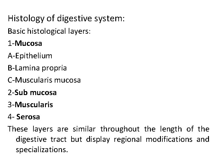 Histology of digestive system: Basic histological layers: 1 -Mucosa A-Epithelium B-Lamina propria C-Muscularis mucosa
