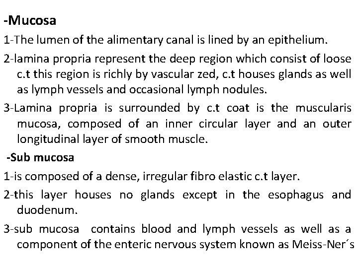 -Mucosa 1 -The lumen of the alimentary canal is lined by an epithelium. 2