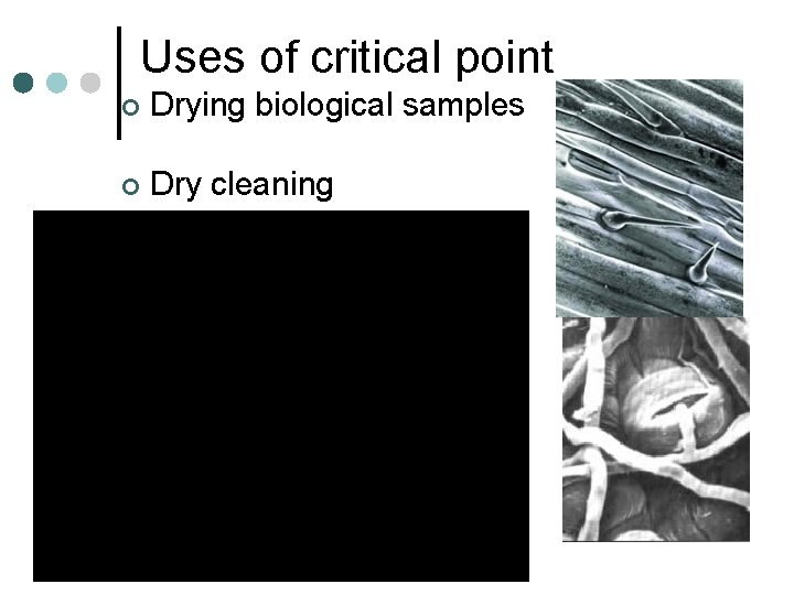 Uses of critical point ¢ Drying biological samples ¢ Dry cleaning 