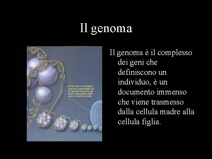 Il genoma è il complesso dei geni che definiscono un individuo, è un documento