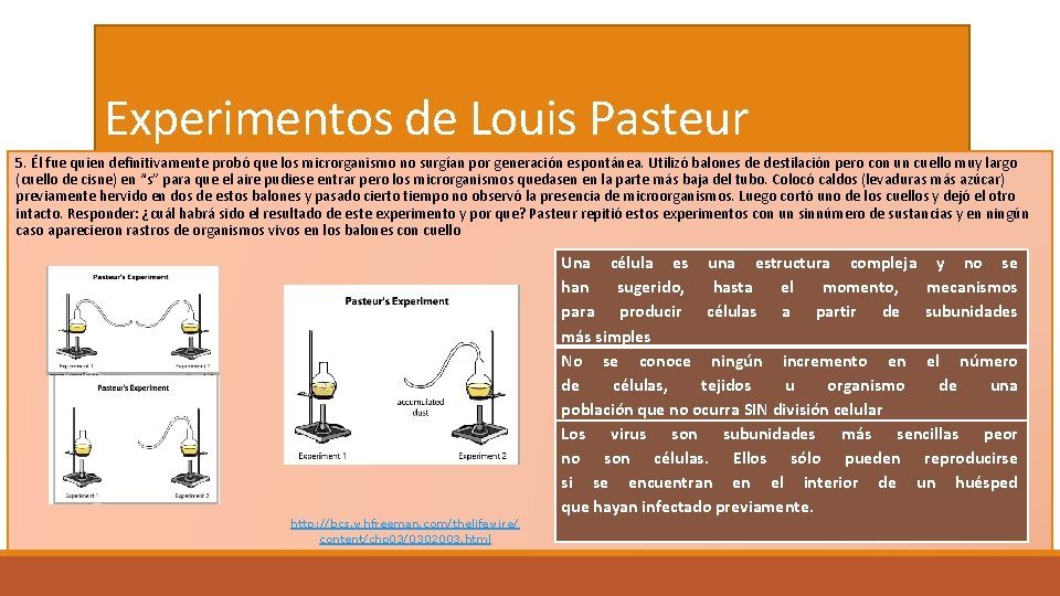Experimentos de Louis Pasteur 5. Él fue quien definitivamente probó que los microrganismo no