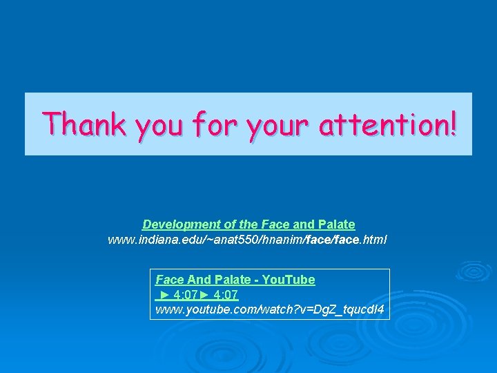 Thank you for your attention! Development of the Face and Palate www. indiana. edu/~anat