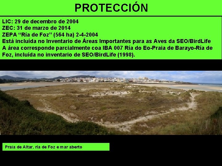 PROTECCIÓN LIC: 29 de decembro de 2004 ZEC: 31 de marzo de 2014 ZEPA