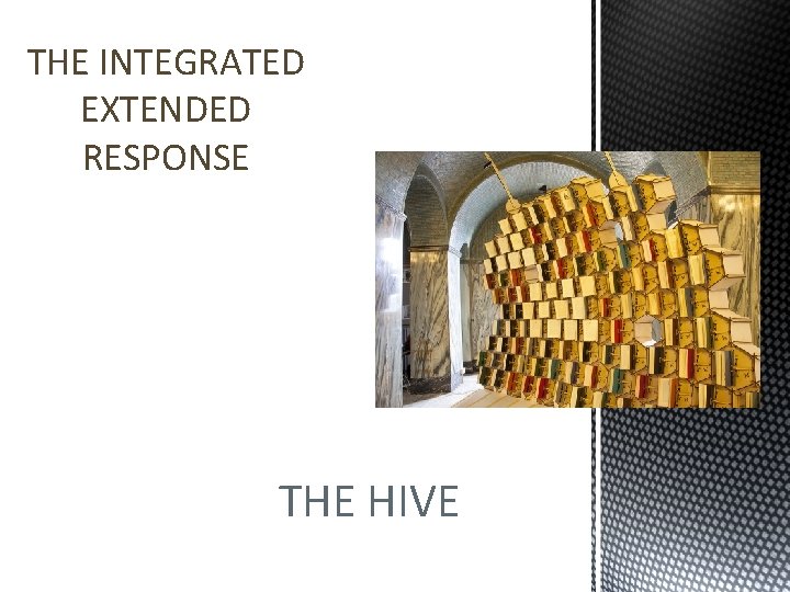 THE INTEGRATED EXTENDED RESPONSE THE HIVE 