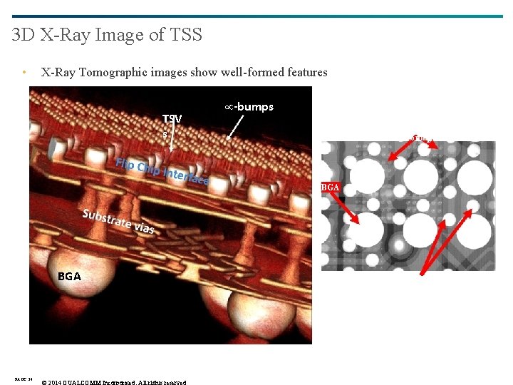 3 D X-Ray Image of TSS • X-Ray Tomographic images show well-formed features TSV 3 D X-Ray Image of TSS • X-Ray Tomographic images show well-formed features TSV