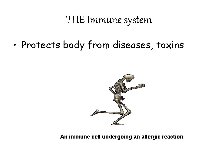 THE Immune system • Protects body from diseases, toxins An immune cell undergoing an