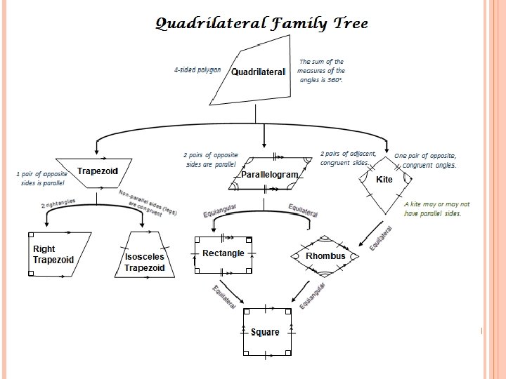 QUADRILATERAL FAMILY TREES 