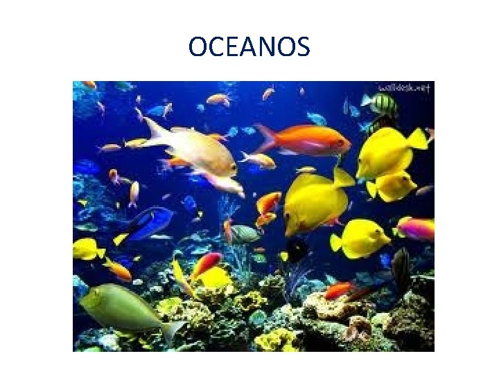 OCEANOS 