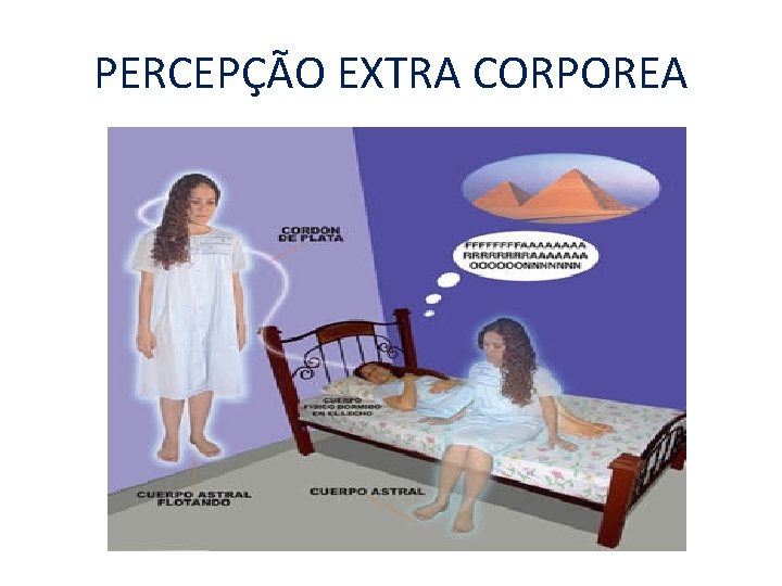 PERCEPÇÃO EXTRA CORPOREA 