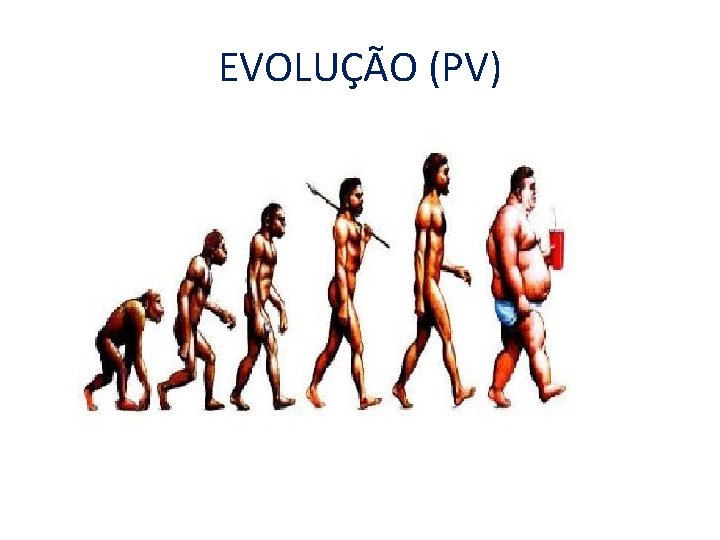 EVOLUÇÃO (PV) 