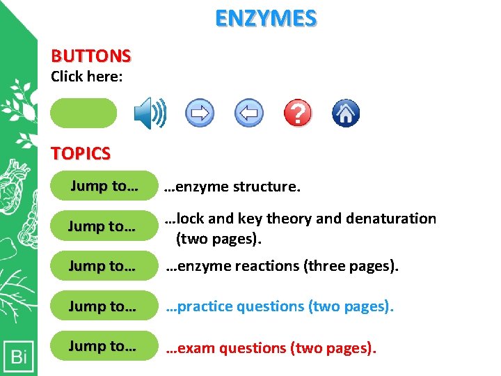 ENZYMES BUTTONS Click here: Clicking Clicking here will here will bring move reveal will