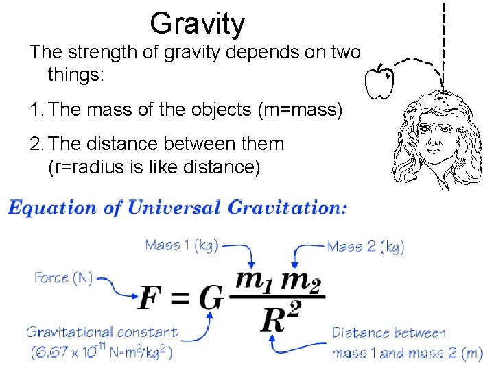 Gravity The strength of gravity depends on two things: 1. The mass of the