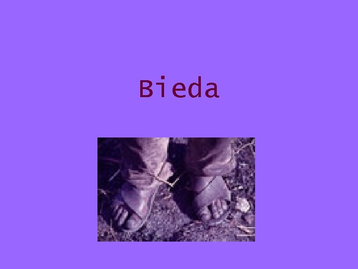 Bieda 