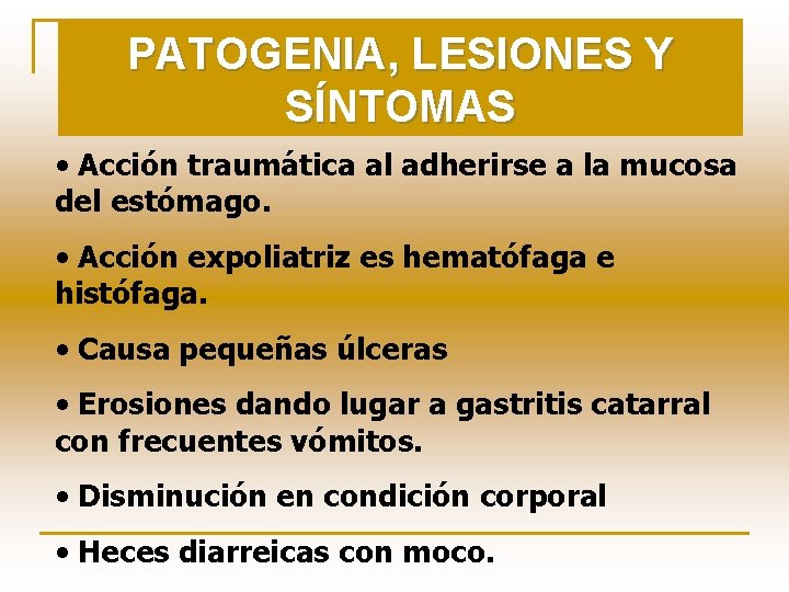 PATOGENIA, LESIONES Y SÍNTOMAS • Acción traumática al adherirse a la mucosa del estómago.