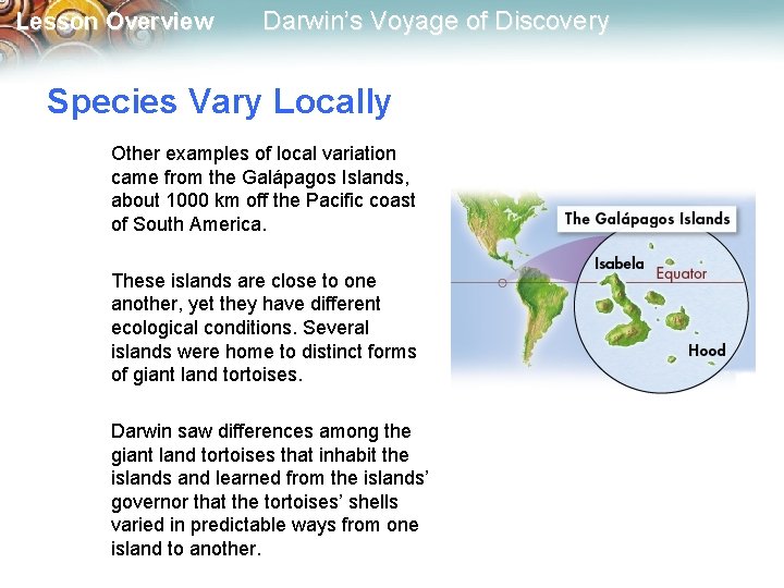 Lesson Overview Darwin’s Voyage of Discovery Species Vary Locally Other examples of local variation