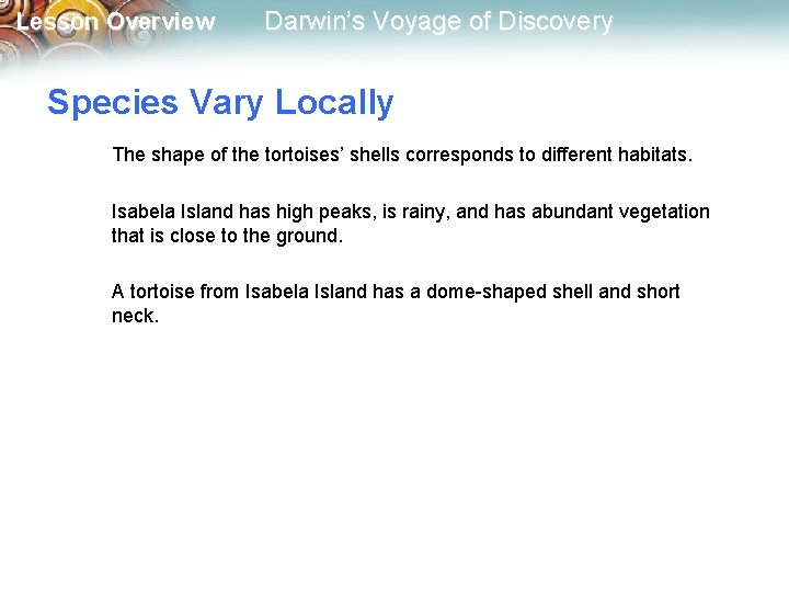Lesson Overview Darwin’s Voyage of Discovery Species Vary Locally The shape of the tortoises’