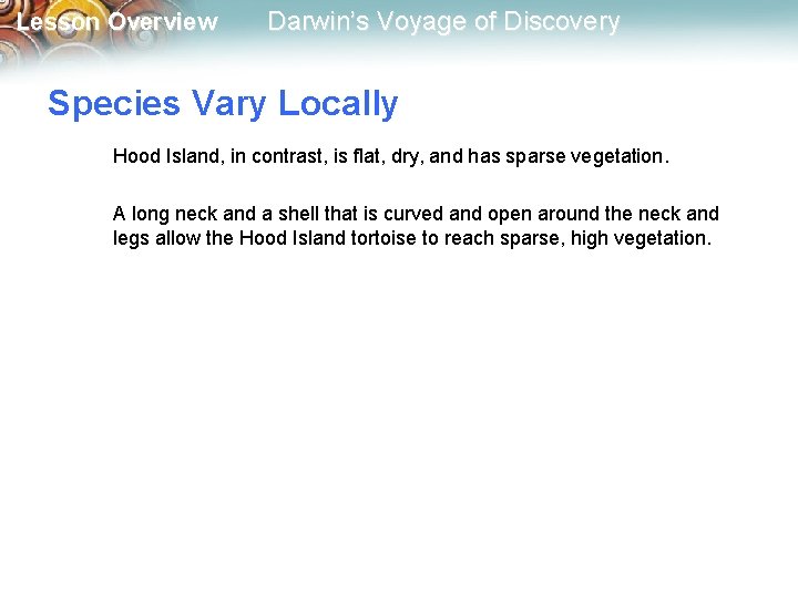 Lesson Overview Darwin’s Voyage of Discovery Species Vary Locally Hood Island, in contrast, is