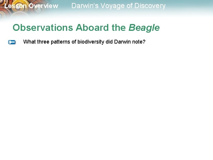 Lesson Overview Darwin’s Voyage of Discovery Observations Aboard the Beagle What three patterns of