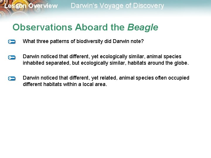 Lesson Overview Darwin’s Voyage of Discovery Observations Aboard the Beagle What three patterns of