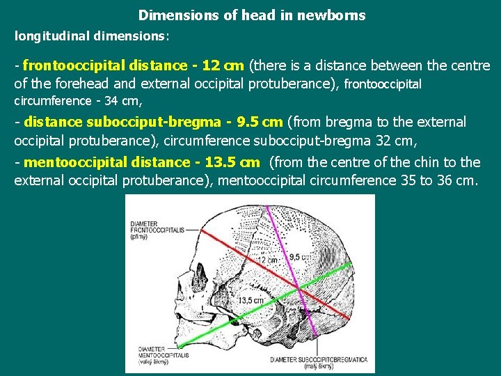 Dimensions of head in newborns longitudinal dimensions: - frontooccipital distance - 12 cm (there