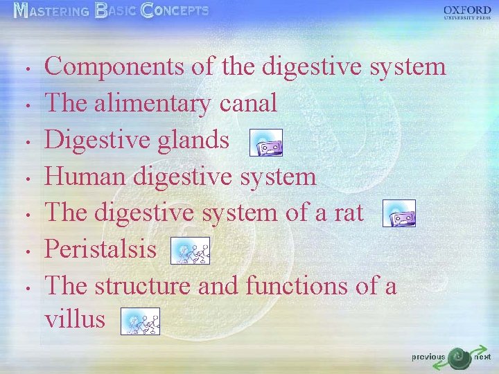  • • Components of the digestive system The alimentary canal Digestive glands Human