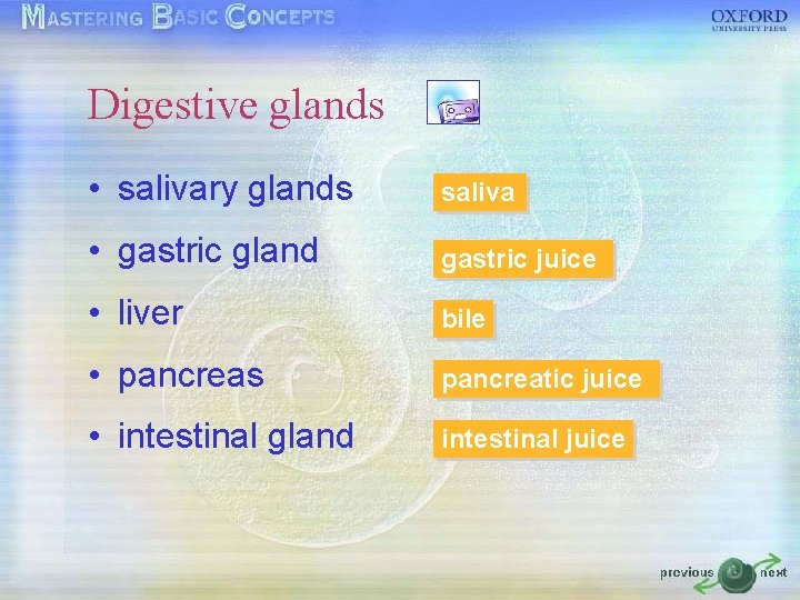 Digestive glands • salivary glands saliva • gastric gland gastric juice • liver bile