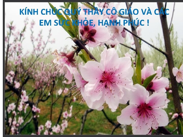 KÍNH CHÚC QUÝ THẦY CÔ GIÁO VÀ CÁC EM SỨC KHỎE, HẠNH PHÚC !