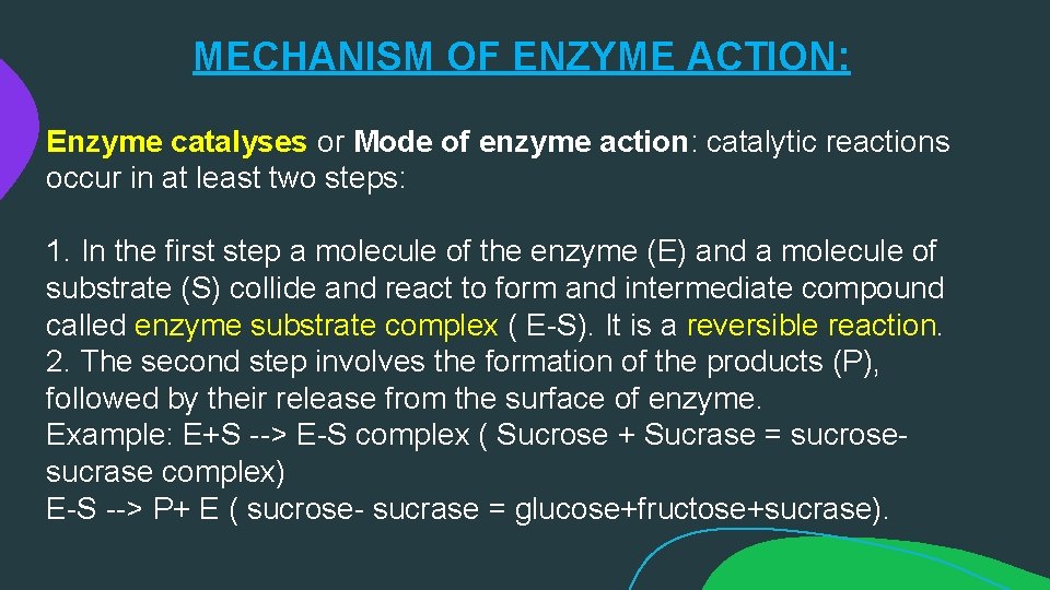 MECHANISM OF ENZYME ACTION: Enzyme catalyses or Mode of enzyme action: catalytic reactions occur