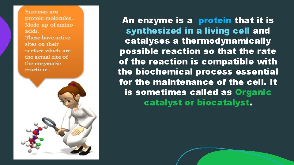 An enzyme is a protein that it is synthesized in a living cell and