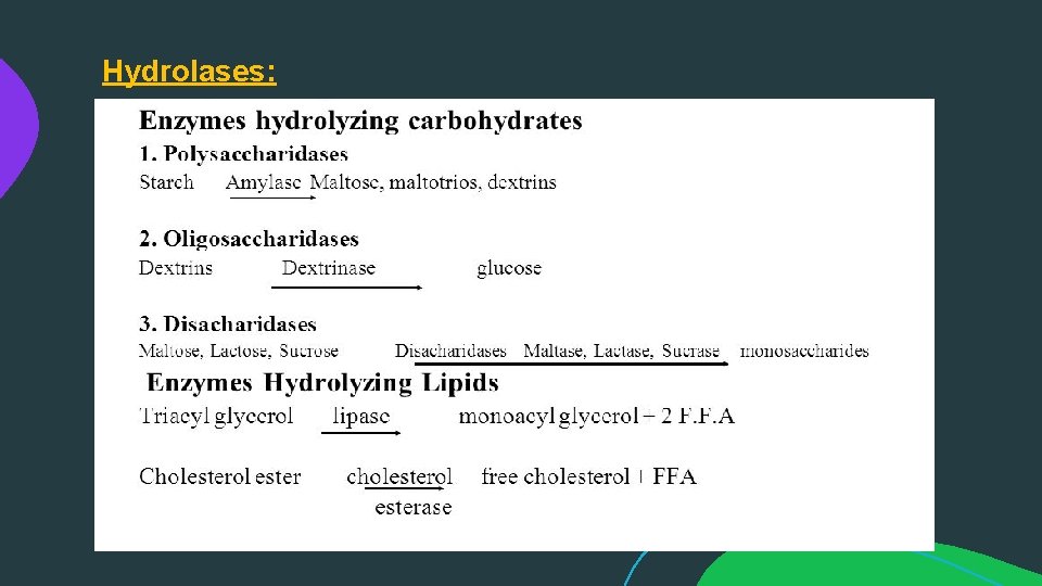 Hydrolases: 