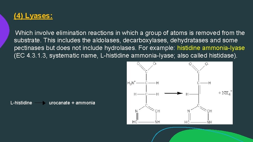 (4) Lyases: Which involve elimination reactions in which a group of atoms is removed