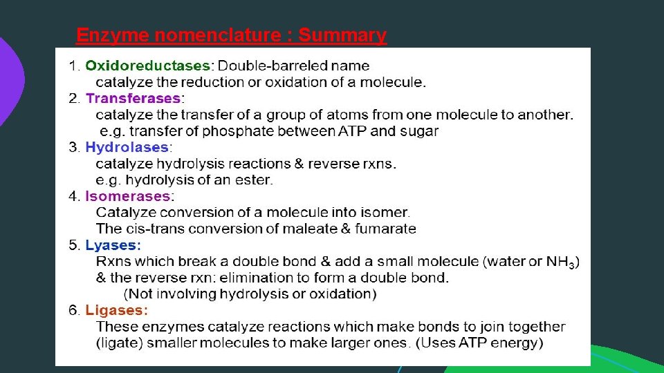 Enzyme nomenclature : Summary 