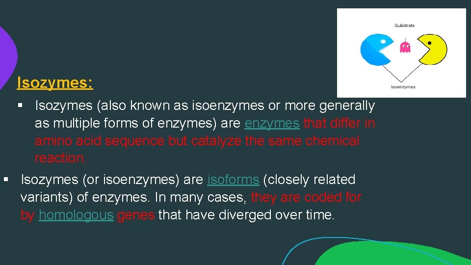 Isozymes: § Isozymes (also known as isoenzymes or more generally as multiple forms of