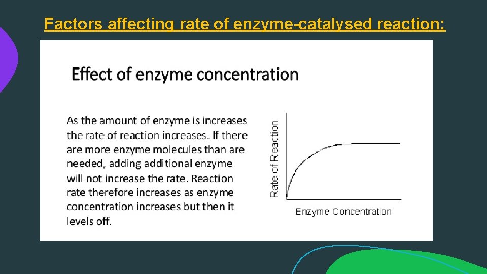 Factors affecting rate of enzyme-catalysed reaction: 